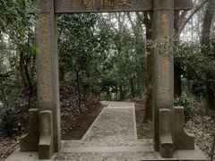 -上海佘山国家森林公园天马山园