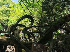 -绮园景区