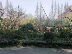 -兰溪青年公园
