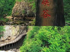 -茅兰沟国家森林公园