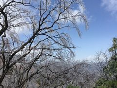 -牛背梁国家森林公园