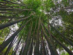 -英西峰林·洞天仙境