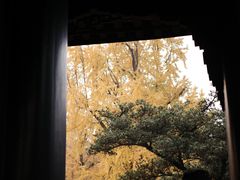 -望江楼公园