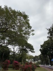点击看大图 -同远QQBABY亲子摄影(北京路店)