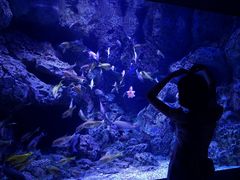 -成都浩海立方海洋公园