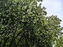 -宗角禄康公园