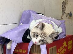 -龍城柳州螺蛳粉(群星路店)