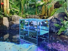 -上海海洋水族馆