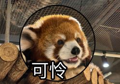 -Zoolung Zoolung动物主题公园(海信广场店)