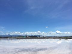 -莺歌海盐场