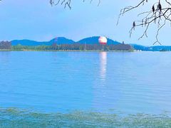 -东湖生态旅游风景区