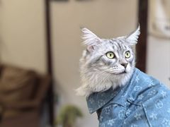 -西火火·川派小火锅(西溪银泰店)