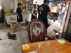 大堂-more than meow吴止猫主题餐厅(承德 中船汇店)