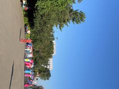 -长春市南湖公园