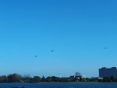 -迪士尼小镇