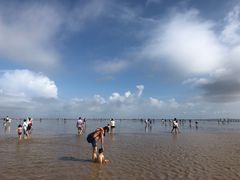 -南汇新城海滩