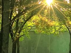 -唐城墙遗址公园