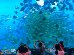 -瑞德姆美人鱼海底演艺主题餐厅(亚龙湾店)