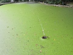 -成都市活水公园