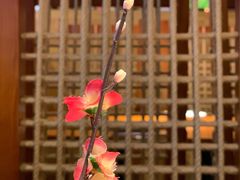 -有喜屋·烧鸟·居酒屋(周浦万达店)