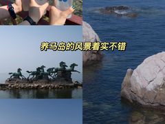 -养马岛旅游度假区