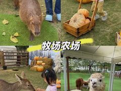 -盈香心动乐园