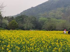 -八卦田遗址公园