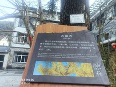 -山沟沟景区