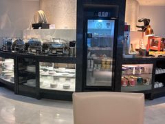 -虹桥机场国航贵宾室v8