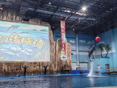 -华夏文旅海洋公园