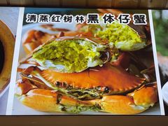 -连理枝渔家乐