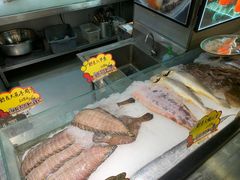 -渔娘渔家丹东海鲜(东直门店)