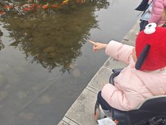 -白马涧龙池景区