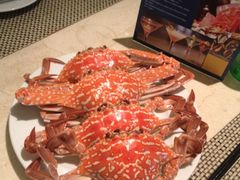 冻蟹-粤海喜来登酒店·盛宴海鲜牛排自助餐厅(天河城店)