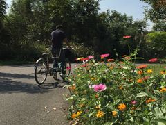 -梁鸿国家湿地公园