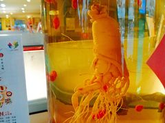 -岳姥姥饺子(泺文路店)