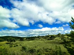 -塞罕坝国家级自然保护区