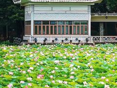 -荔湾湖公园
