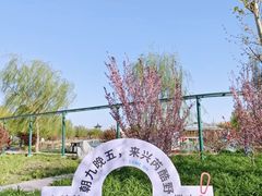 -兴芮温泉度假区