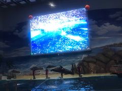 -福州罗源湾海洋世界旅游区