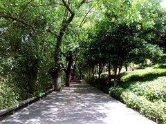 -天目湖山水园