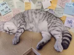 -H立方实景剧情密室(天河旗舰店)