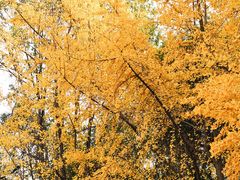 -成都市活水公园