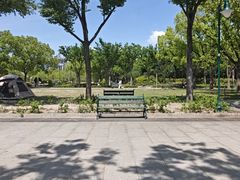 -新江湾城公园