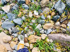 -舟山希尔顿酒店