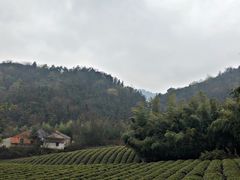 -敬亭山风景名胜区