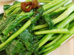-满福隆酒楼(万绿园店)