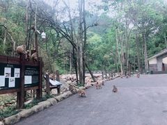 -姑婆山旅游区