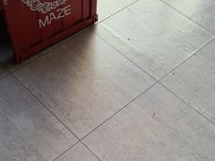 -移动谜城·大笨象密室逃脱(五棵松店)