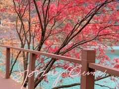 -叠溪松坪沟景区